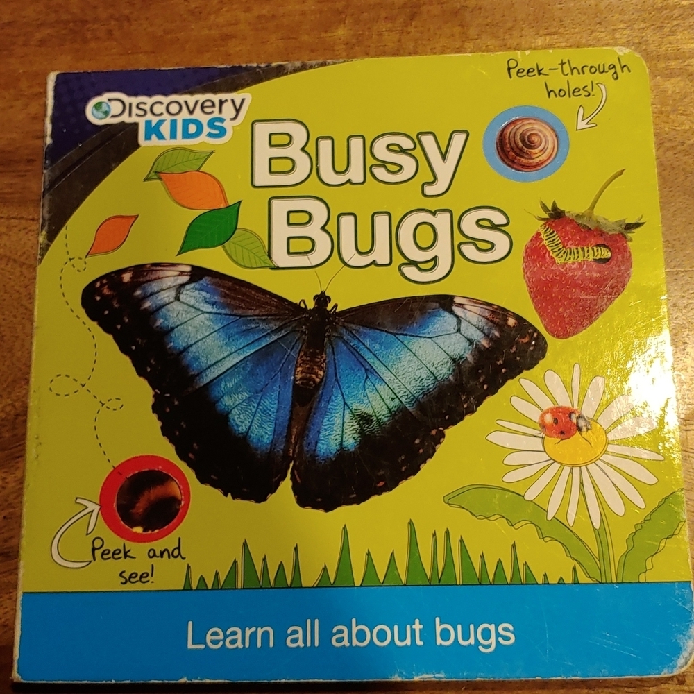 Discovery Kids Busy Bugs